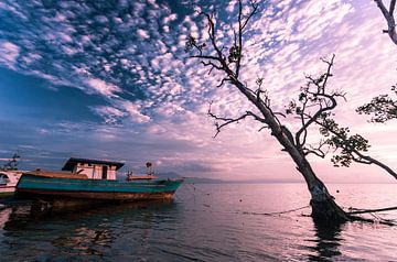 Laying still by Ferdinand Mul