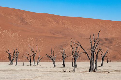 Deadvlei 2