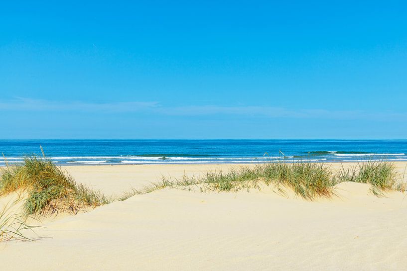 Dünen am Strand mit Strandgras während eines schönen Sommers da von Sjoerd van der Wal Fotografie