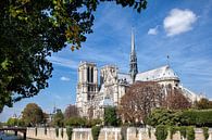 Parijs, kathedraal Notre-Dame van Arie Storm thumbnail