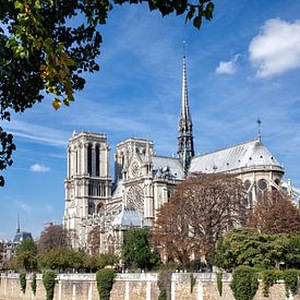 Parijs, kathedraal Notre-Dame van Arie Storm