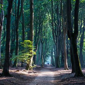 Wandern von Michele Schuurkamp