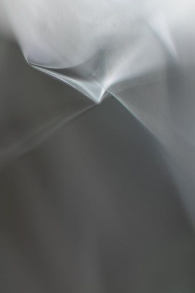 Abstract by Jamie Elbersen