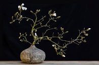 stilleven magnolia van Klaartje Majoor thumbnail