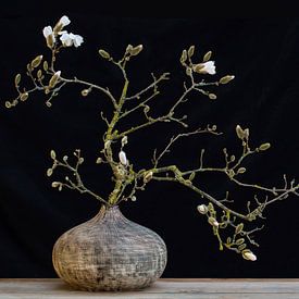 Stilleven magnolia van Klaartje Majoor