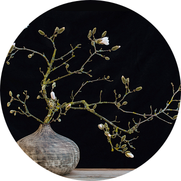 Stilleven magnolia van Klaartje Majoor