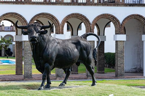 Bull of Osborne