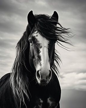 Paardenportret van fernlichtsicht