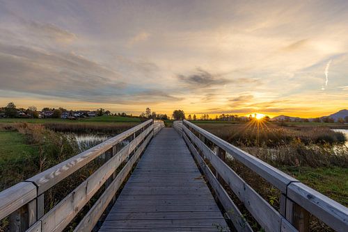 The first rays of sunshine