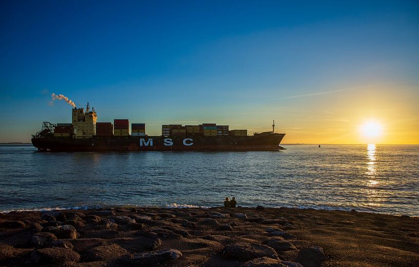 MSC-Containerschiff Vlissingen von MSP Canvas