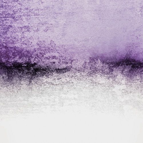 Snowdreamer  Lavender Fields