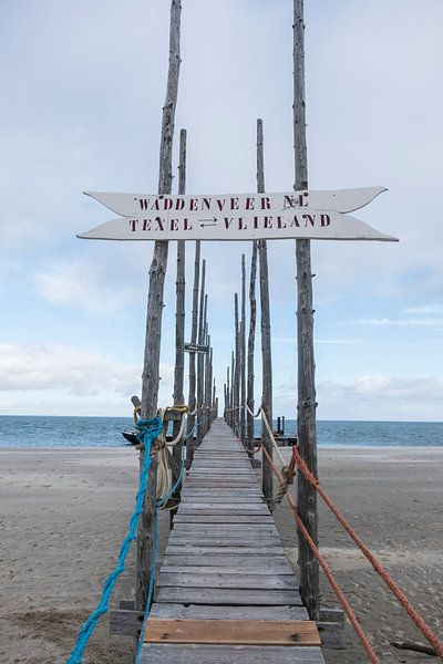 waddenveer texel vlieland van Nienke Stegeman