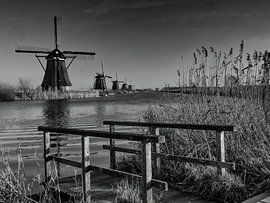 Der Steg in Schwarz und Weiß von Jan Enthoven Fotografie