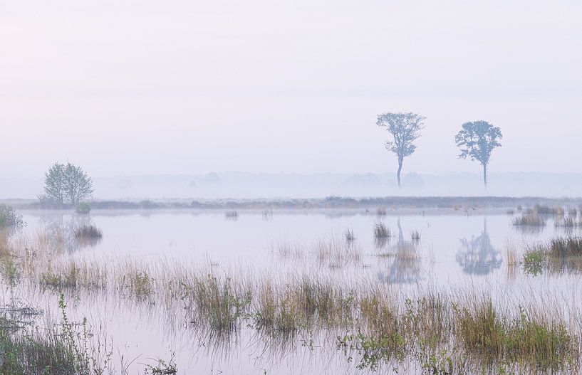 Sunrise Dwingelderveld (Netherlands) by Marcel Kerdijk