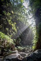 Sunshine in the valley