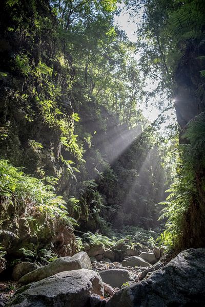 Sonnenschein im Tal von Pierre Verhoeven