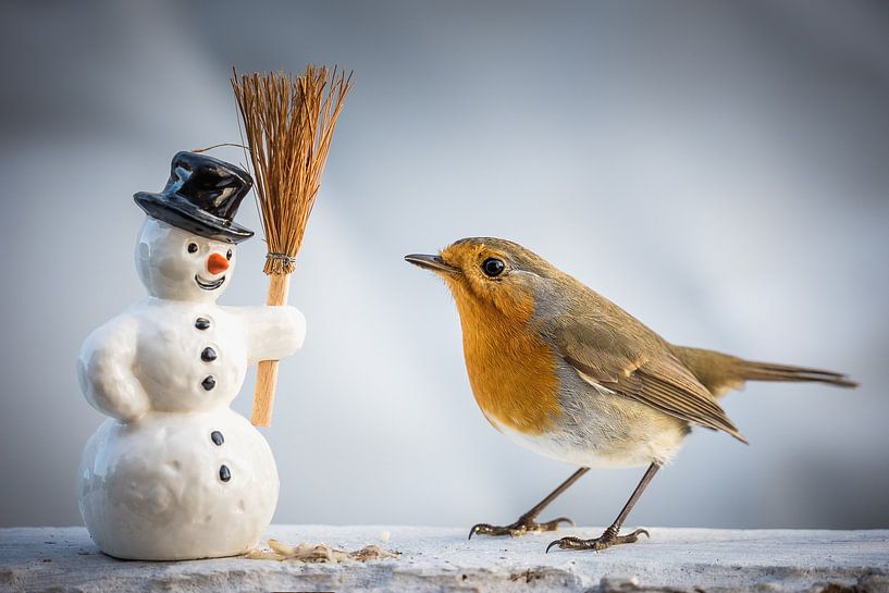 Bird - robin and snowman by Jürgen Schmittdiel Photography