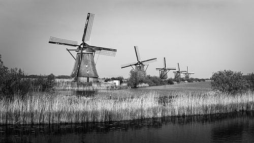 Molens bij de Kinderdijk in Zwart-Wit