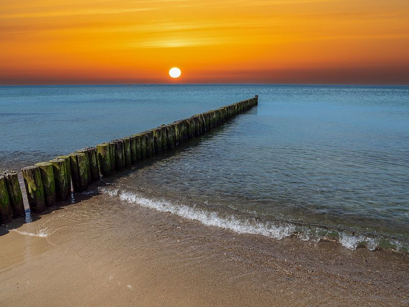 Épis au lever du soleil sur la mer Baltique par Animaflora PicsStock