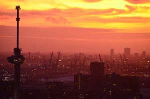 L'Euromast et le port de Rotterdam sous une lumière rouge