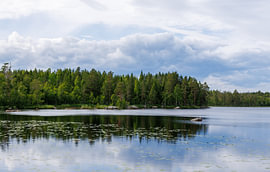 A reflection on an idyllic forest lake in Sweden