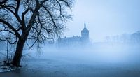 Frozen