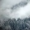 The Mountain Collection | Gloomy Forest sur Lot Wildiers Photography
