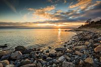 Golden  Baltic Sea 