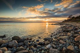 Goldene Ostsee  von Ursula Reins