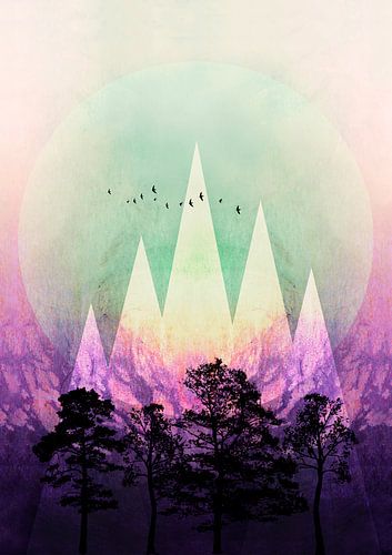 TREES under MAGIC MOUNTAINS VII