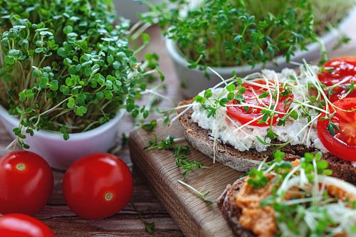 Heerlijke sandwiches met microgroenten