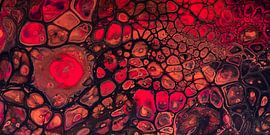 Panorama der feurigen, warmen Farben: Rot, Braun und Erdtöne von Marjolijn van den Berg