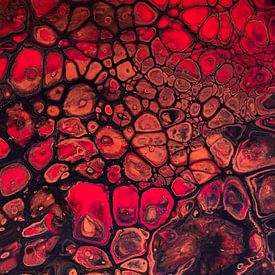 Panorama der feurigen, warmen Farben: Rot, Braun und Erdtöne von Marjolijn van den Berg