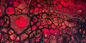 Panorama der feurigen, warmen Farben: Rot, Braun und Erdtöne