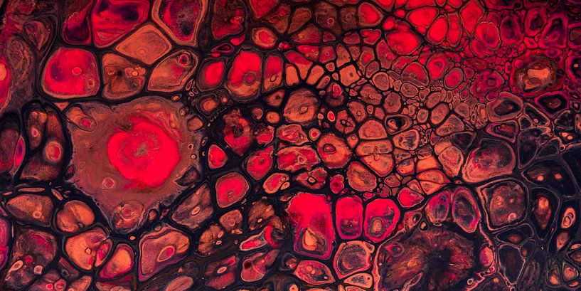 Panorama of fiery, warm colors: red, brown and earth tones by Marjolijn van den Berg