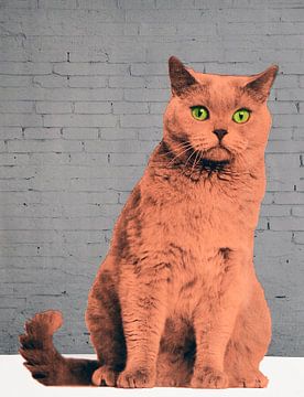 Tout le monde veut être un chat, 2017, (sérigraphie). sur Anne Storno