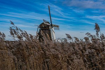 Meerburgermolen Leiderdorp