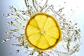 Früchte : Zitrone im Splash von Photoart-Naegele