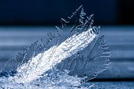 Ice crystals, a wonder of nature by Jim De Sitter thumbnail