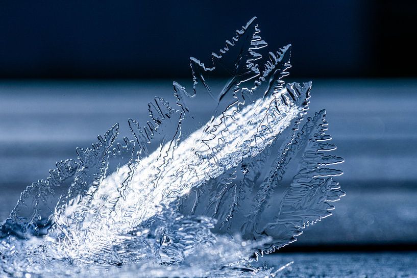 Ice crystals, a wonder of nature by Jim De Sitter