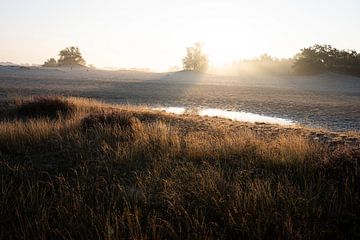 Zonsopgang boven de duinen van Olaf Karwisch