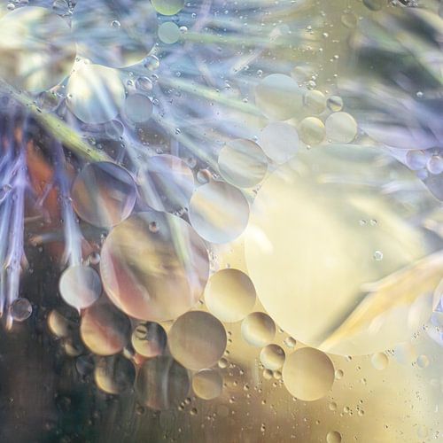Fluistering van gouden circels