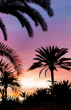 Tropische zonsondergang met palmbomen van Bjarne Vijfvinkel