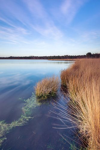 Strabrechtse Heide 284