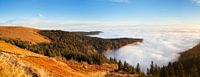 Nebelmeer am Feldberg, Schwarzwald von Markus Lange Miniaturansicht