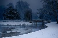 Winter in the Netherlands