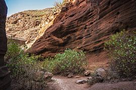 Gran Canaria: Red Canyon by Tim Lee Williams