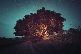 Myanmar by Martijn Doolaard