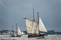 Segelschiffe auf der Ostsee vor Warnemünde van Rico Ködder thumbnail