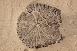 strandpaal by Alfred Meester